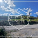 Парцел в Горна Оряховица - 2517 кв.м за 31 €/кв.м - Снимка #1