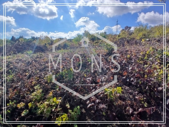 Парцел в Горна Оряховица - 1024 кв.м за 21 €/кв.м - Снимка #1