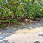 Парцел в Варна, Виница - 2420 кв.м за 11 €/кв.м - Снимка #1