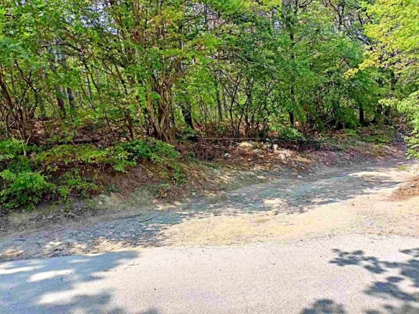 Парцел в Варна, Виница - 2420 кв.м за 11 €/кв.м - Снимка #1