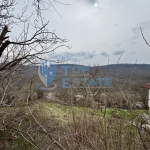 Парцел в с. Малки чифлик, Област Велико Търново - 811 кв.м за 8 €/кв.м - Снимка #1