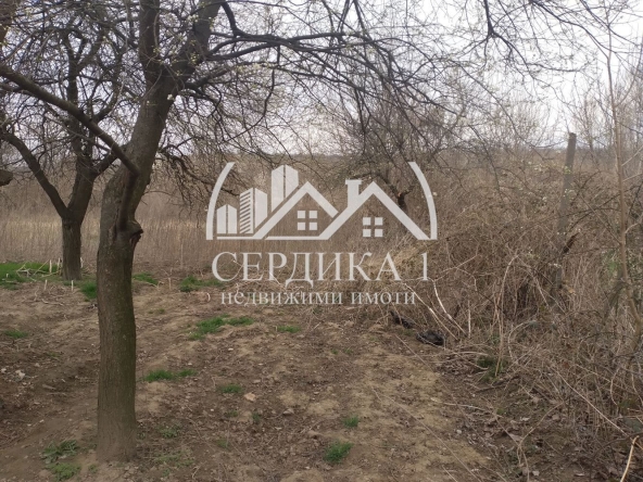 Парцел в с. Крайници, Област Кюстендил - 1145 кв.м за 11 €/кв.м - Снимка #1