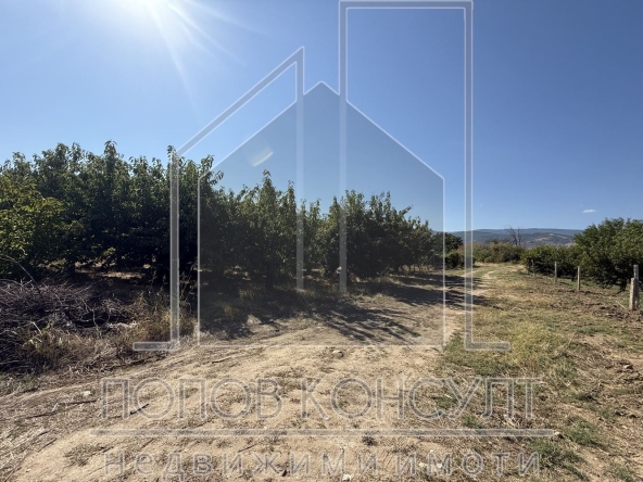 Парцел в с. Брестник, Област Пловдив - 4449 кв.м за 18 €/кв.м - Снимка #1