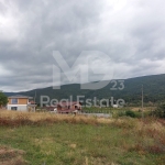 Парцел в с. Гълъбово, Област Пловдив - 933 кв.м за 33 €/кв.м - Снимка #1