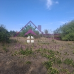 Парцел в с. Доброглед, Област Варна - 727 кв.м за 17 €/кв.м - Снимка #1