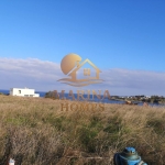 Парцел в с. Лозенец, Област Бургас - 2201 кв.м за 51 €/кв.м - Снимка #1