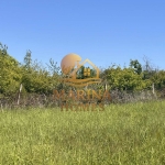 Земеделски имот в с. Велика, Област Бургас -  кв.м за 14 €/дка - Снимка #1