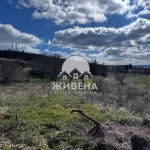 Парцел в с. Оброчище, Област Добрич - 1080 кв.м за 8 €/кв.м - Снимка #1