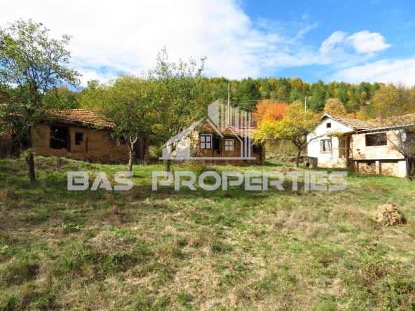 Парцел в с. Реброво, Област София-област - 2727 кв.м за 8 €/кв.м - Снимка #1