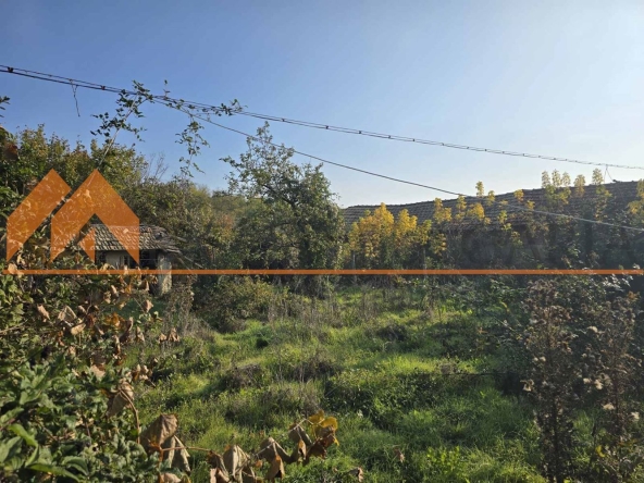 Парцел в с. Невша, Област Варна - 2260 кв.м за 13 €/кв.м - Снимка #1