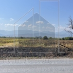 Парцел в с. Оризари, Област Пловдив - 4082 кв.м за 30 €/кв.м - Снимка #1