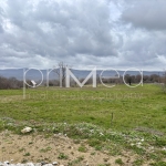 Земеделски имот в с. Визица, Област Бургас -  кв.м за 10 €/дка - Снимка #1