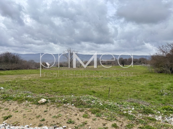 Земеделски имот в с. Визица, Област Бургас -  кв.м за 10 €/дка - Снимка #1