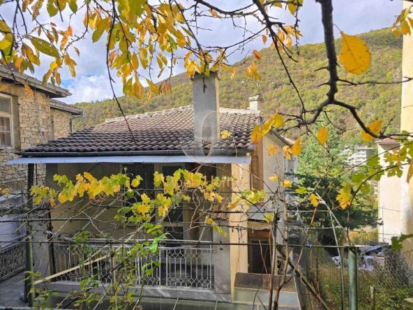 Къща в с. Нареченски бани, Област Пловдив - 210 кв.м за 185 €/кв.м - Снимка #1