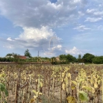 Парцел в с. Строево, Област Пловдив - 3800 кв.м за 10 €/кв.м - Снимка #1