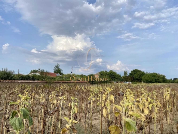 Парцел в с. Строево, Област Пловдив - 3800 кв.м за 10 €/кв.м - Снимка #1