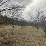 Парцел в Севлиево - 1515 кв.м за 10 €/кв.м - Снимка #1