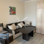 Дава се под наем Едностаен апартамент в София, Витоша - 54 кв.м за 90000 € - Снимка #1