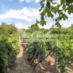 Парцел в Шумен, Тракия - 1000 кв.м за 28 €/кв.м - Снимка #1