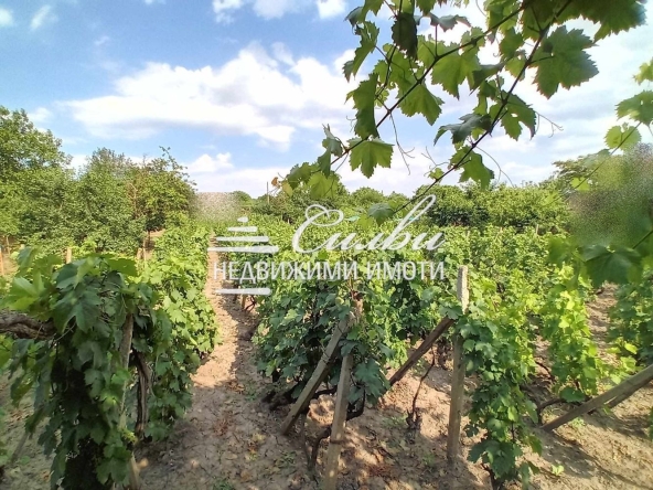 Парцел в Шумен, Тракия - 1000 кв.м за 28 €/кв.м - Снимка #1