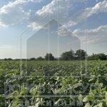 Парцел в с. Марково, Област Пловдив - 2009 кв.м за 52 €/кв.м - Снимка #1