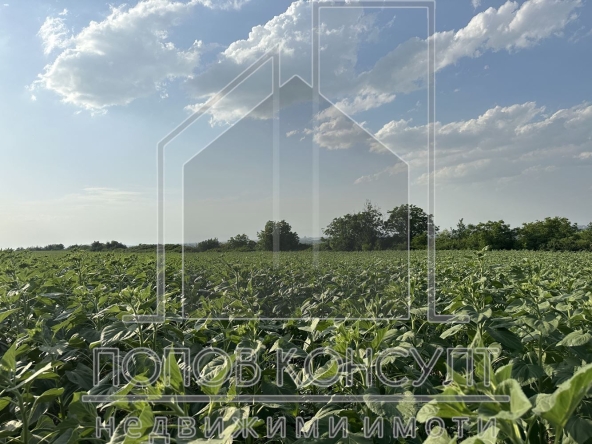 Парцел в с. Марково, Област Пловдив - 2009 кв.м за 52 €/кв.м - Снимка #1