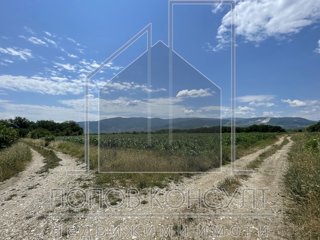 Парцел в Пловдив, Индустриална зона - Юг - 8099 кв.м за 30 €/кв.м - Снимка #1