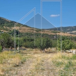 Парцел в с. Белащица, Област Пловдив - 1800 кв.м за 85 €/кв.м - Снимка #1