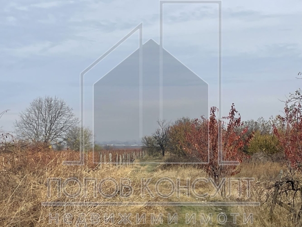 Парцел в с. Брестник, Област Пловдив - 3599 кв.м за 31 €/кв.м - Снимка #1