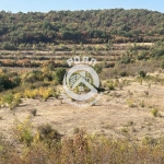 Парцел в с. Първенец, Област Пловдив - 10780 кв.м за 10 €/кв.м - Снимка #1