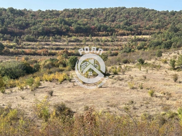 Парцел в с. Първенец, Област Пловдив - 10780 кв.м за 10 €/кв.м - Снимка #1