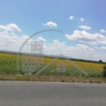 Къща в с. Поручик Чунчево, Област Добрич - 200 кв.м за 195 €/кв.м - Снимка #1