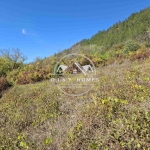 Парцел в Антоново - 1350 кв.м за 18 €/кв.м - Снимка #1