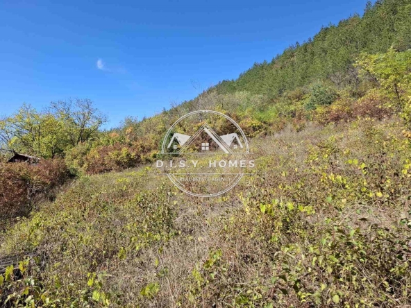 Парцел в Антоново - 1350 кв.м за 18 €/кв.м - Снимка #1