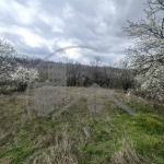 Парцел в с. Бенковски, Област Варна - 620 кв.м за 41 €/кв.м - Снимка #1