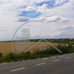 Парцел в с. Изгрев, Област Варна - 10200 кв.м за 7 €/кв.м - Снимка #1