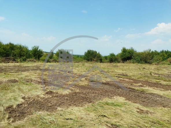 Парцел в с. Баново, Област Варна - 748 кв.м за 30 €/кв.м - Снимка #1