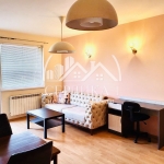 Дава се под наем Двустаен апартамент в София, Бъкстон - 56 кв.м за 500 € - Снимка #1