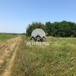 Парцел в с. Камен бряг, Област Добрич - 5602 кв.м за 13 €/кв.м - Снимка #1