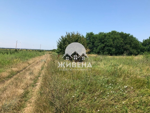 Парцел в с. Камен бряг, Област Добрич - 5602 кв.м за 13 €/кв.м - Снимка #1