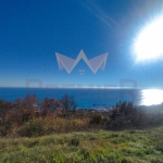 Парцел в с. Топола, Област Добрич - 872 кв.м за 92 €/кв.м - Снимка #1