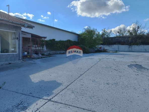 Парцел в с. Рогачево, Област Добрич - 450 кв.м за 346 €/кв.м - Снимка #1