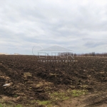 Парцел в с. Тополи, Област Варна - 3801 кв.м за 26 €/кв.м - Снимка #1