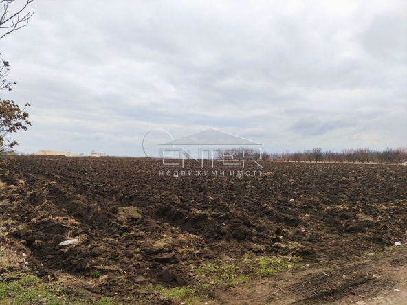 Парцел в с. Тополи, Област Варна - 3801 кв.м за 26 €/кв.м - Снимка #1