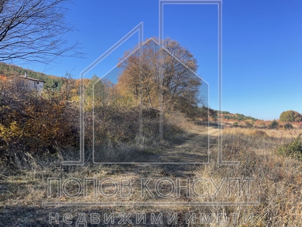 Парцел в с. Цар Калоян, Област Пловдив - 814 кв.м за 50 €/кв.м - Снимка #1