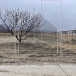 Парцел в с. Брестник, Област Пловдив - 682 кв.м за 75 €/кв.м - Снимка #1