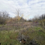 Парцел в с. Царичино, Област Добрич - 1331 кв.м за 22 €/кв.м - Снимка #1