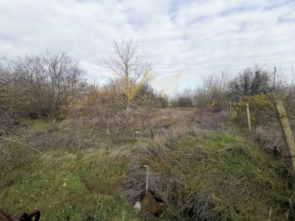 Парцел в с. Царичино, Област Добрич - 1331 кв.м за 22 €/кв.м - Снимка #1