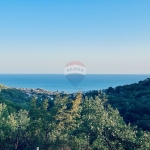 Парцел в Балчик - 2096 кв.м за 0 €/кв.м - Снимка #1