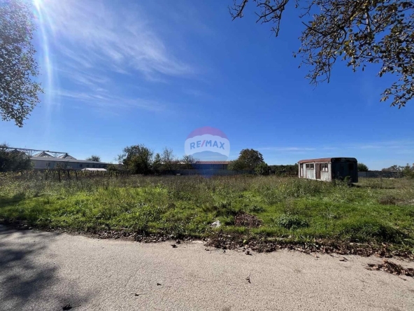 Парцел в Генерал Тошево - 1010 кв.м за 17 €/кв.м - Снимка #1